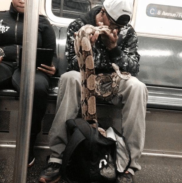 Screen shot 2014-10-15 at 11.18.28 AM